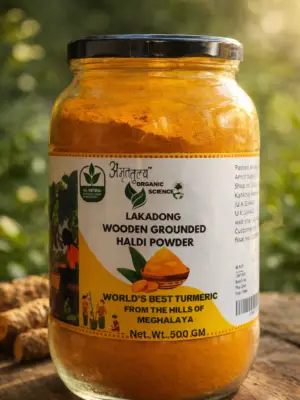 Organic turmeric from Meghalaya close-up Meghalaya Lakadong Turmeric Powder